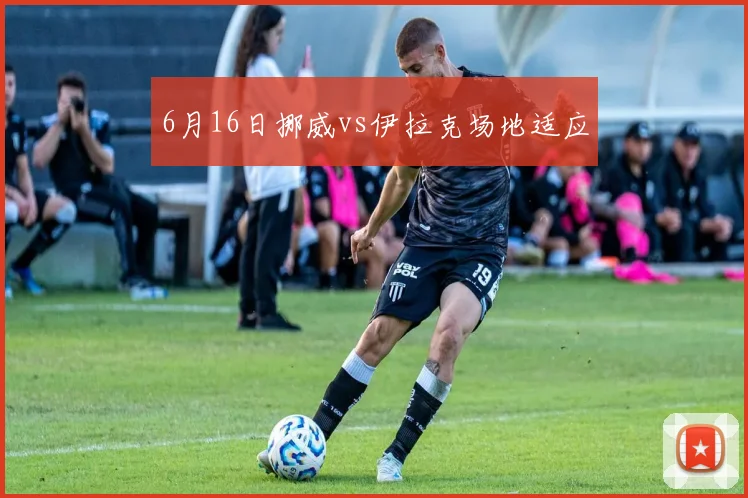 6月16日挪威vs伊拉克场地适应