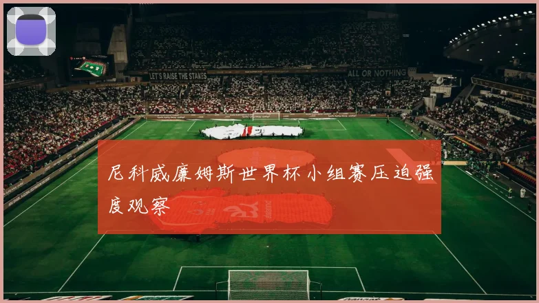 尼科威廉姆斯世界杯小组赛压迫强度观察
