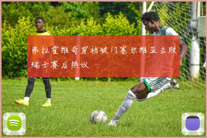 弗拉霍维奇穿裆破门塞尔维亚击败瑞士赛后热议