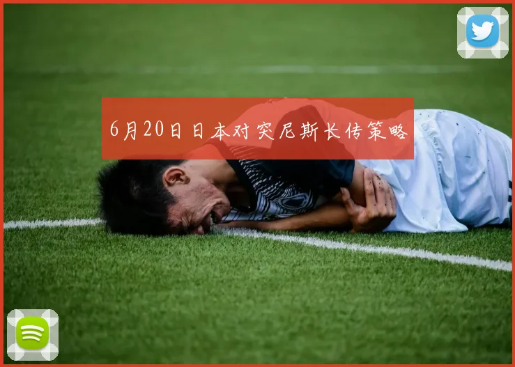6月20日日本对突尼斯长传策略