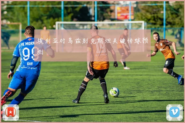 埃利亚对乌兹别克斯坦关键传球预测