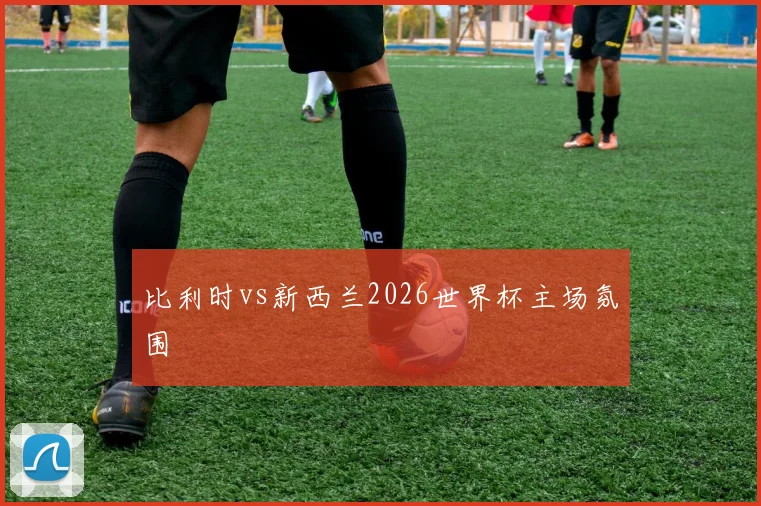 比利时vs新西兰2026世界杯主场氛围