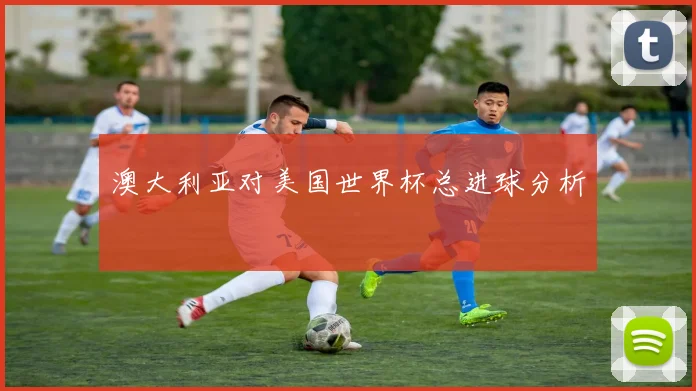 澳大利亚对美国世界杯总进球分析
