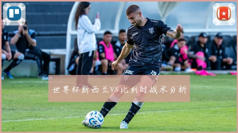 世界杯新西兰vs比利时战术分析